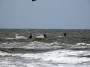 Thumbs/tn_Kite Board Open 2015 Zaterdag 020.jpg